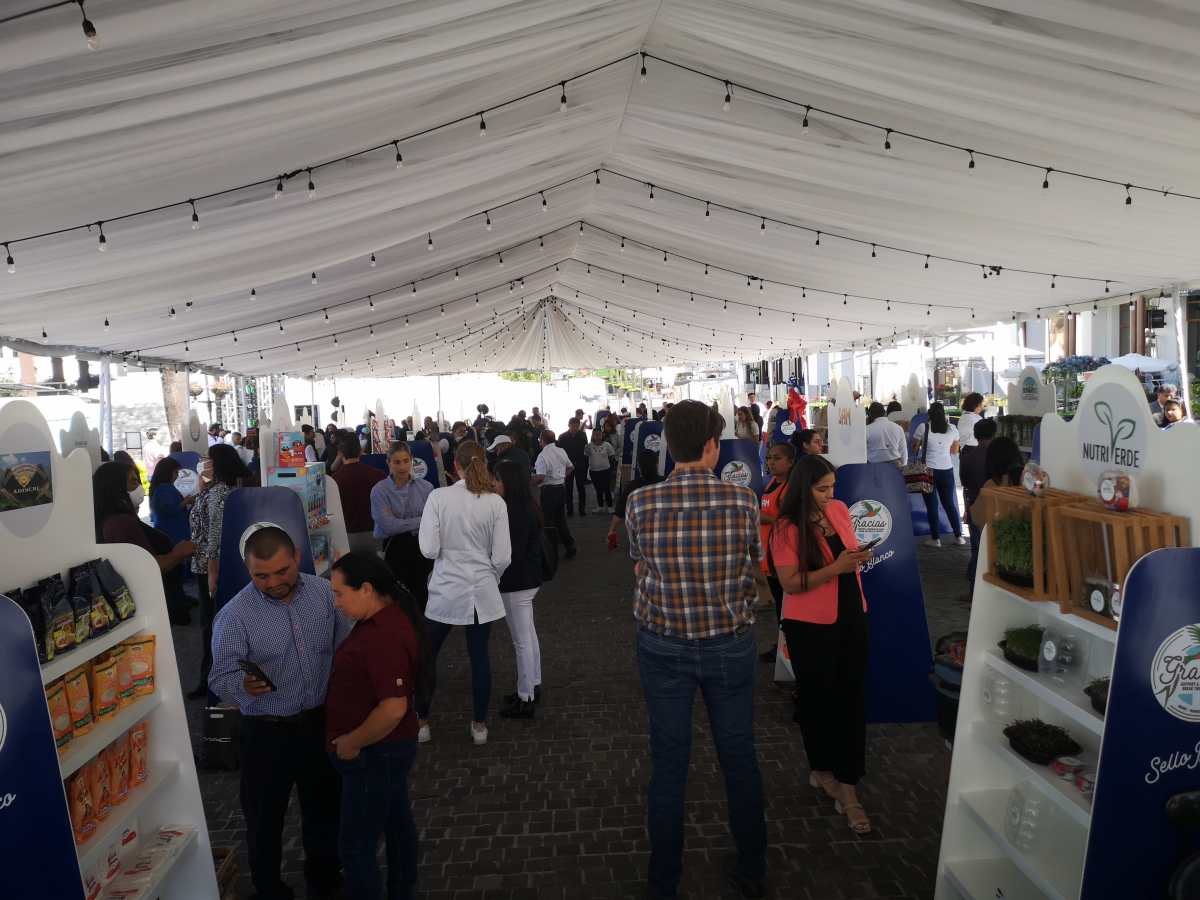 El Ministerio de Economía (Mineco) entregó distintivos Sello Blanco a 30 micro, pequeñas y medianas empresas (mipyme). (Foto Prensa Libre: Luis Mazariegos).