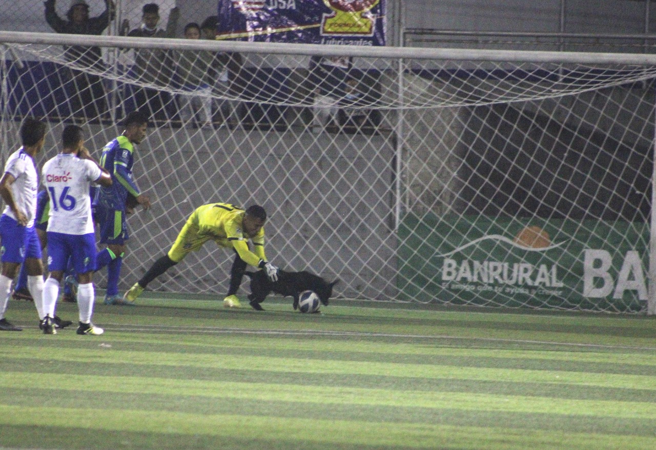 Un perro se roba el show en Mixco en una jornada que dejó a Antigua GFC en el liderato