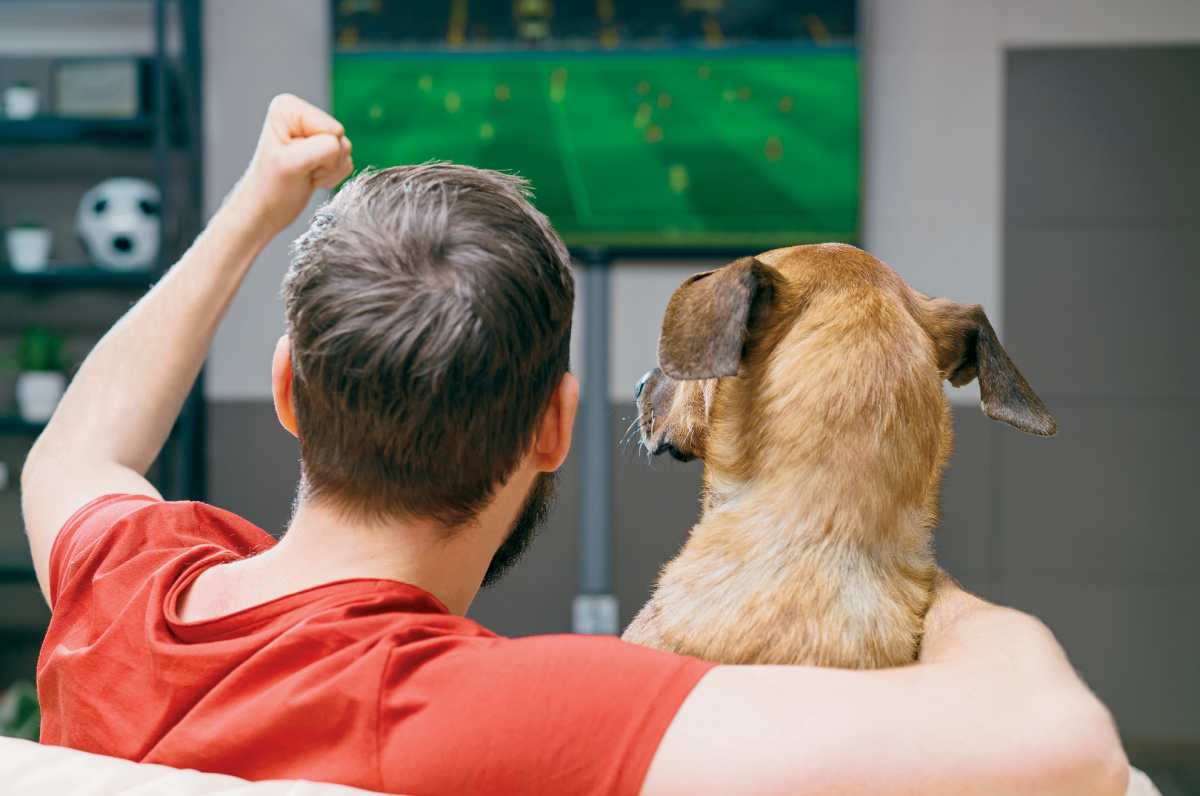 ¿Cómo compartir el Mundial acompañado de tu mascota?
