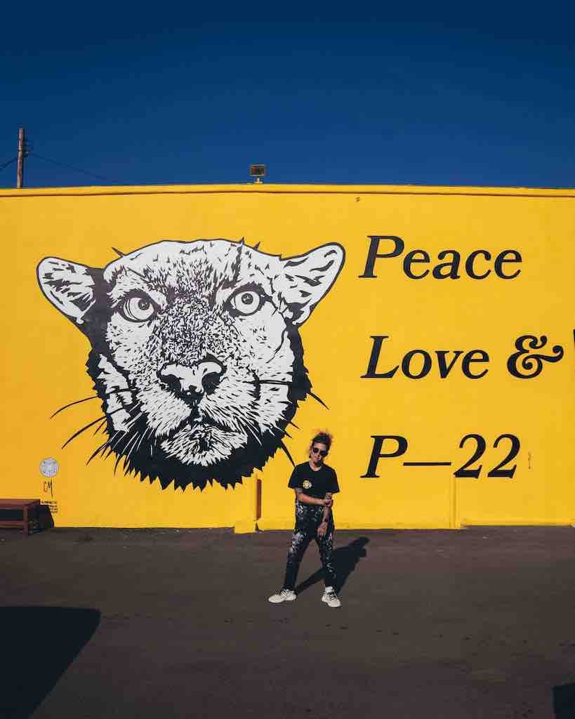 Corie Mattie, una artista también conocida como LA Hope Dealer, se para frente a un mural que pintó en el vecindario Silver Lake de Los Ángeles que muestra a P-22.  Corie Mattie