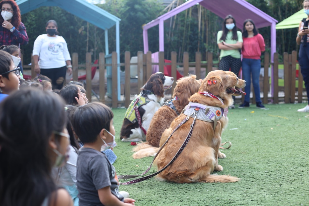 21 días de dar felicidad: Diversión canina para niños (Día 17)