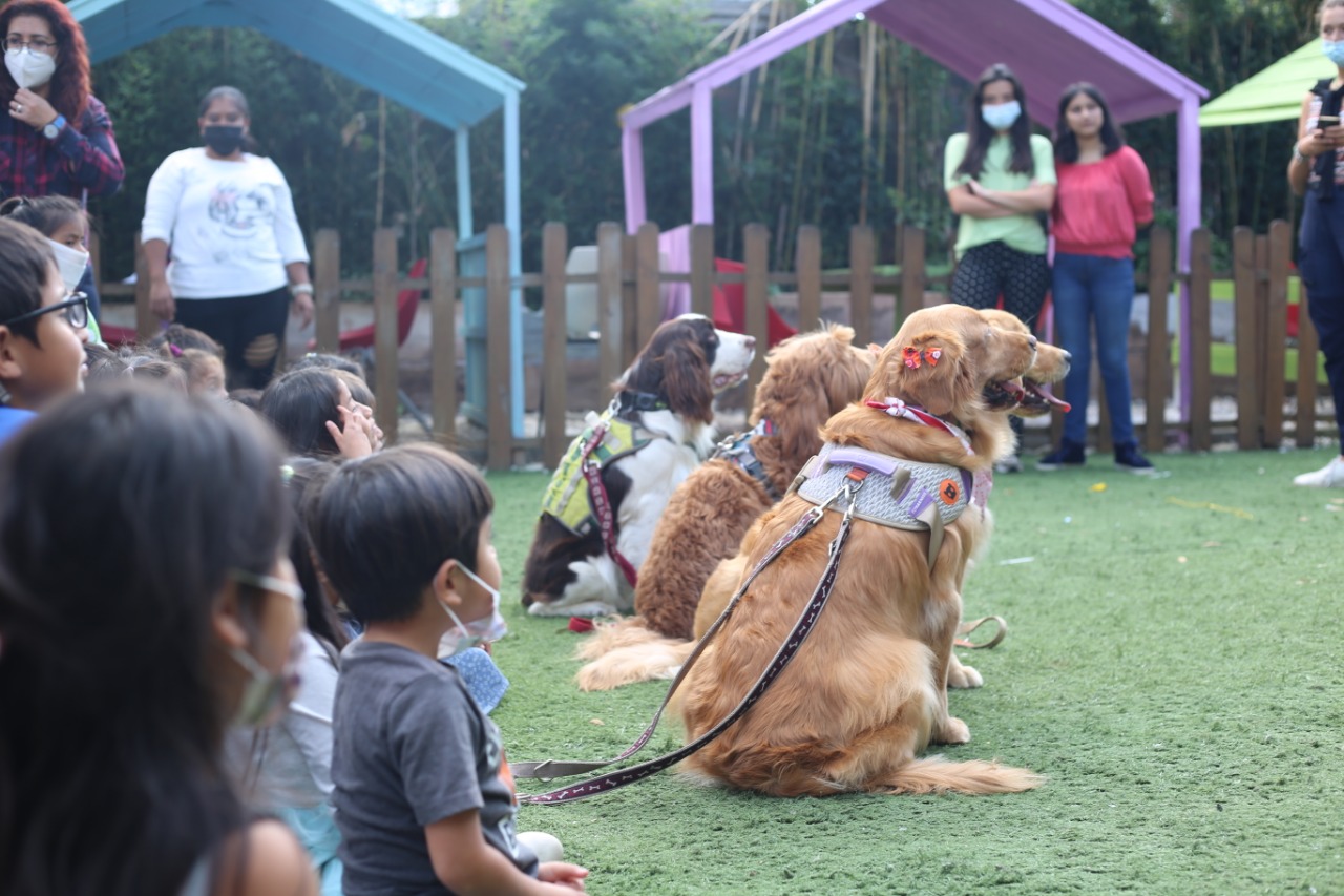 Unos 30 niños participaron de  un entretenido espectáculo con los perritos Golden Retriever. (Foto Prensa Libre: Mercadeo PL)