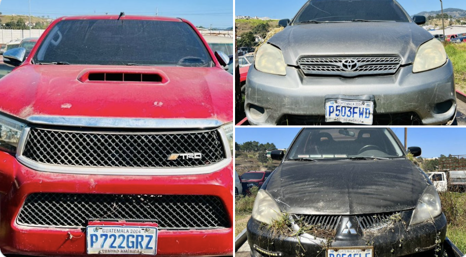 Extinción de dominios