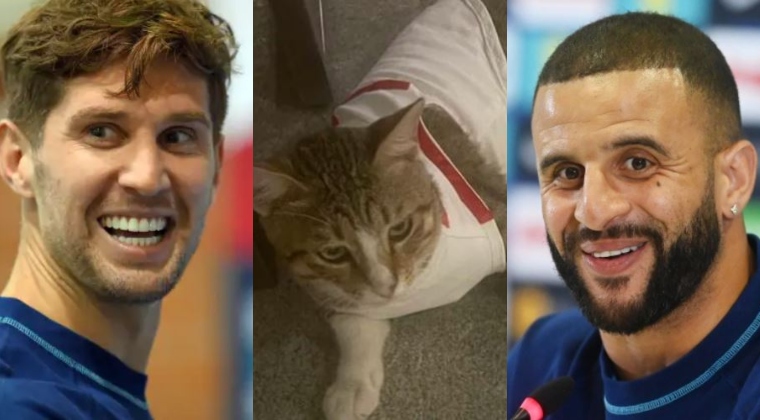 John Stones y Kyle Walker adoptan un gato en Qatar