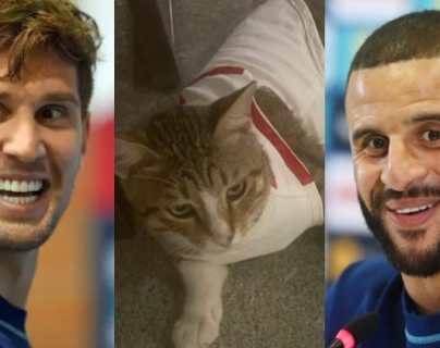 Qatar 2022: jugadores de Inglaterra adoptan a un gato que los acompañó durante su estadía en el Mundial
