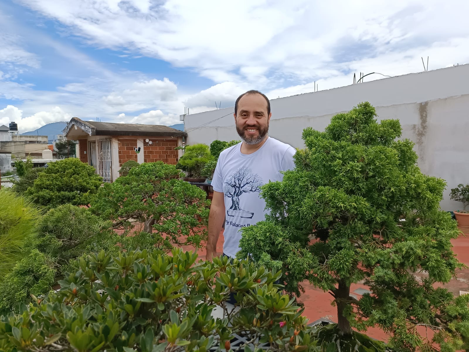 El milenario bonsái ¿qué significa tener uno en casa y cómo cuidarlo?