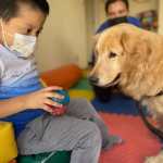 Beneficios de las terapias asistidas con mascotas