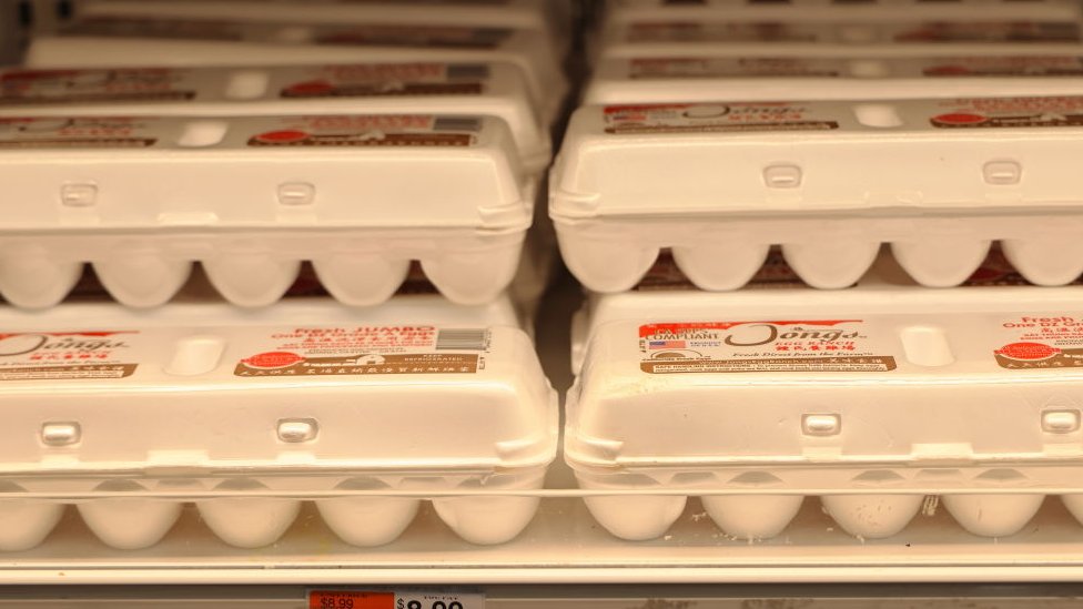 Los intentos de contrabandear huevos enfrentan grandes multas.