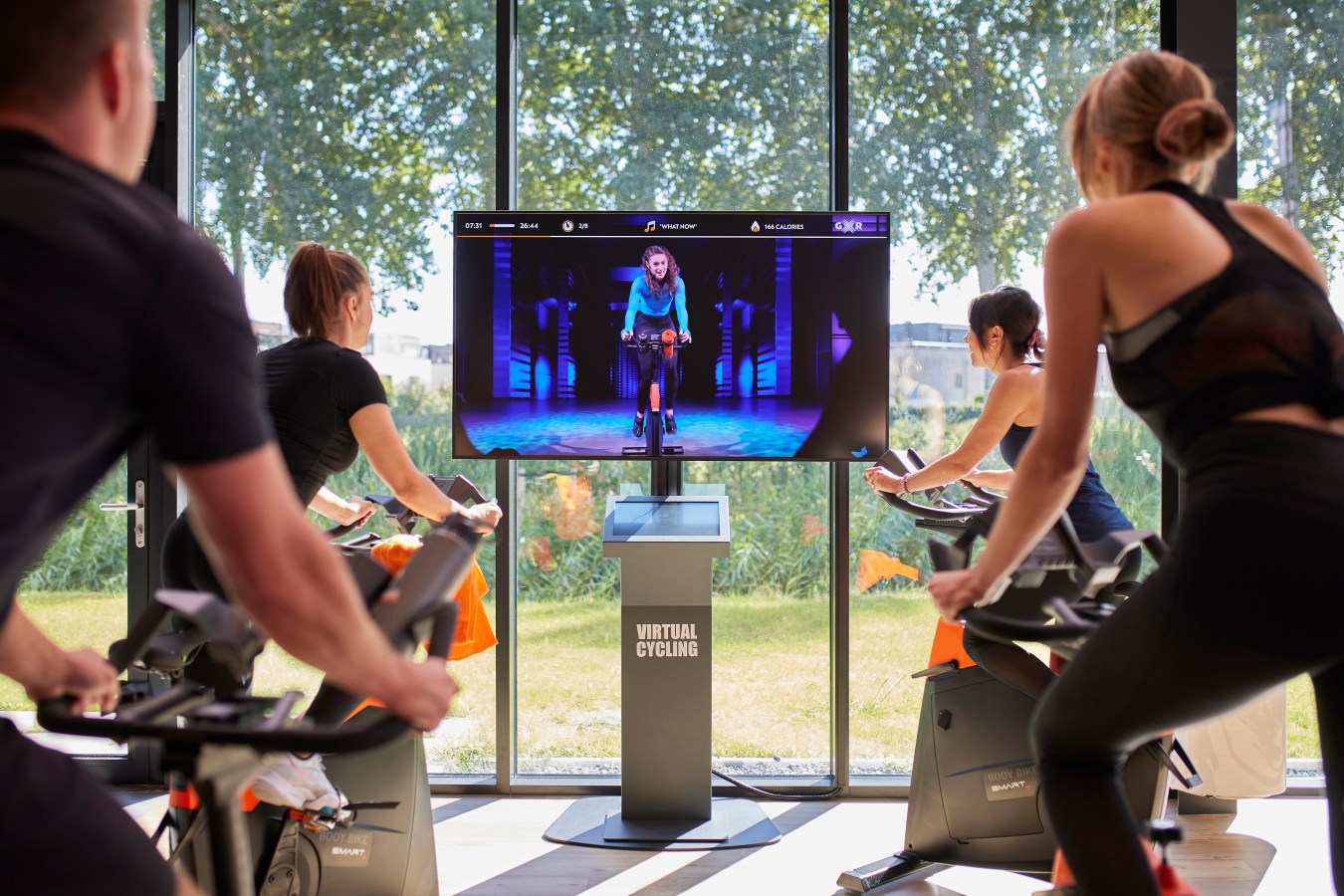 Lograr una Salud Increíble