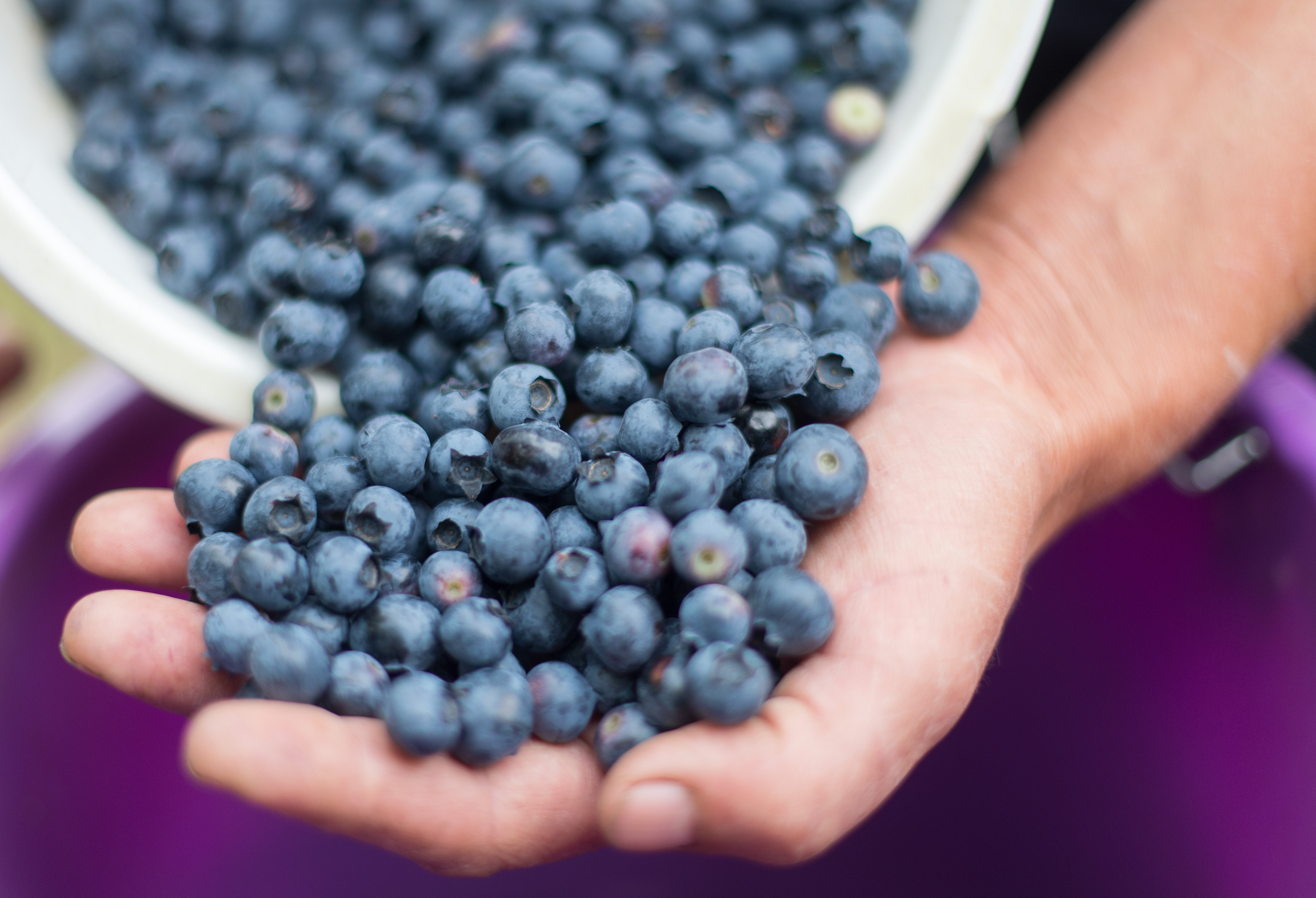 ¿Qué tan grande debe ser la porción de fruta o verdura al día?