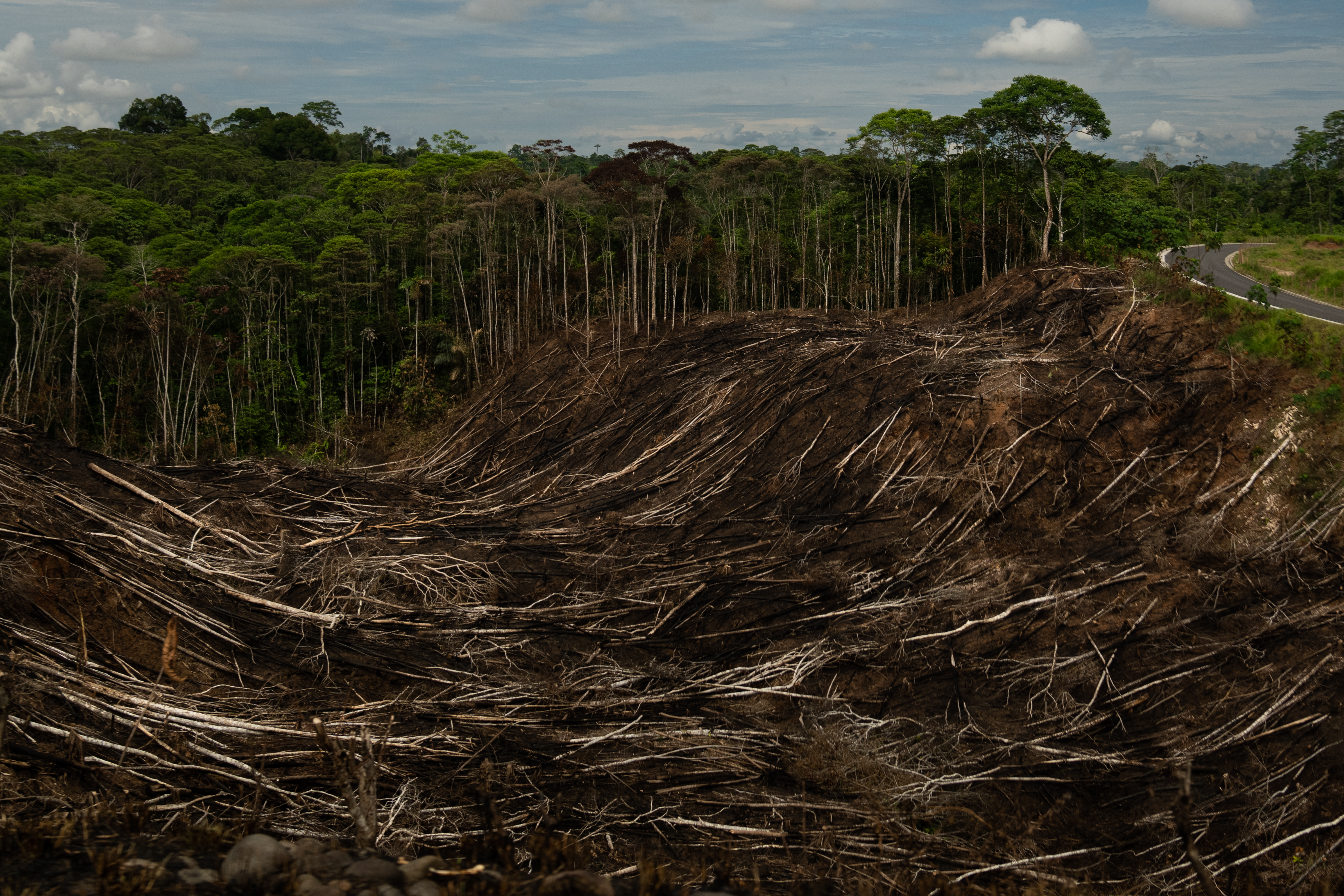 Deforestación en la región ecuatoriana de Yasuní, 17 de octubre de 2022. (Foto Prensa Libre: Erin Schaff/The New York Times)