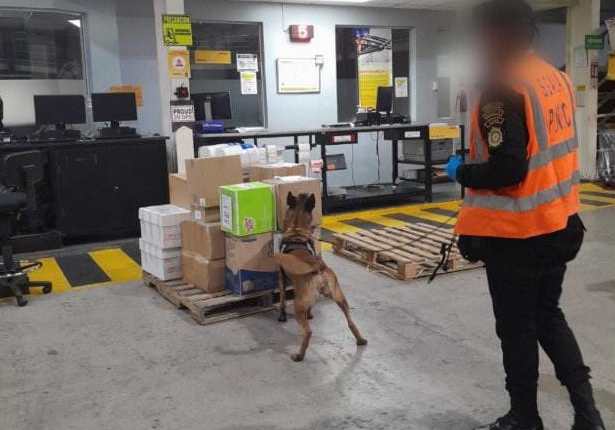 En una bodega de exportaciones en zona 13 capitalina, la SGAIA localizó droga en paquetes con destino a EE. UU. (Foto Prensa Libre: PNC).