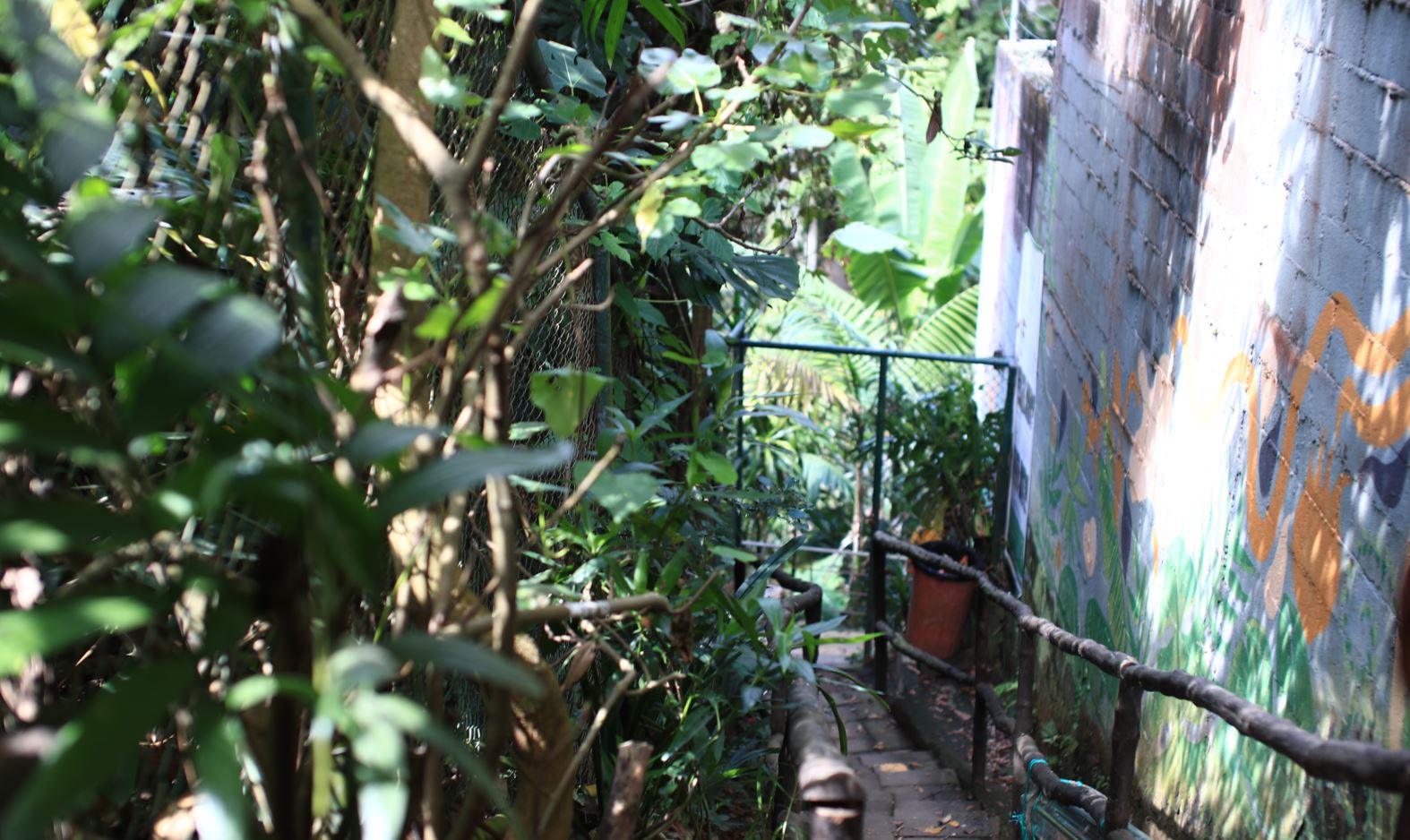 El área boscosa de Vista Hermosa 2, según vecinos, ha sido utilizada para que ingresen criminales a robar en las residencias. (Foto Prensa Libre: Carlos Hernández)