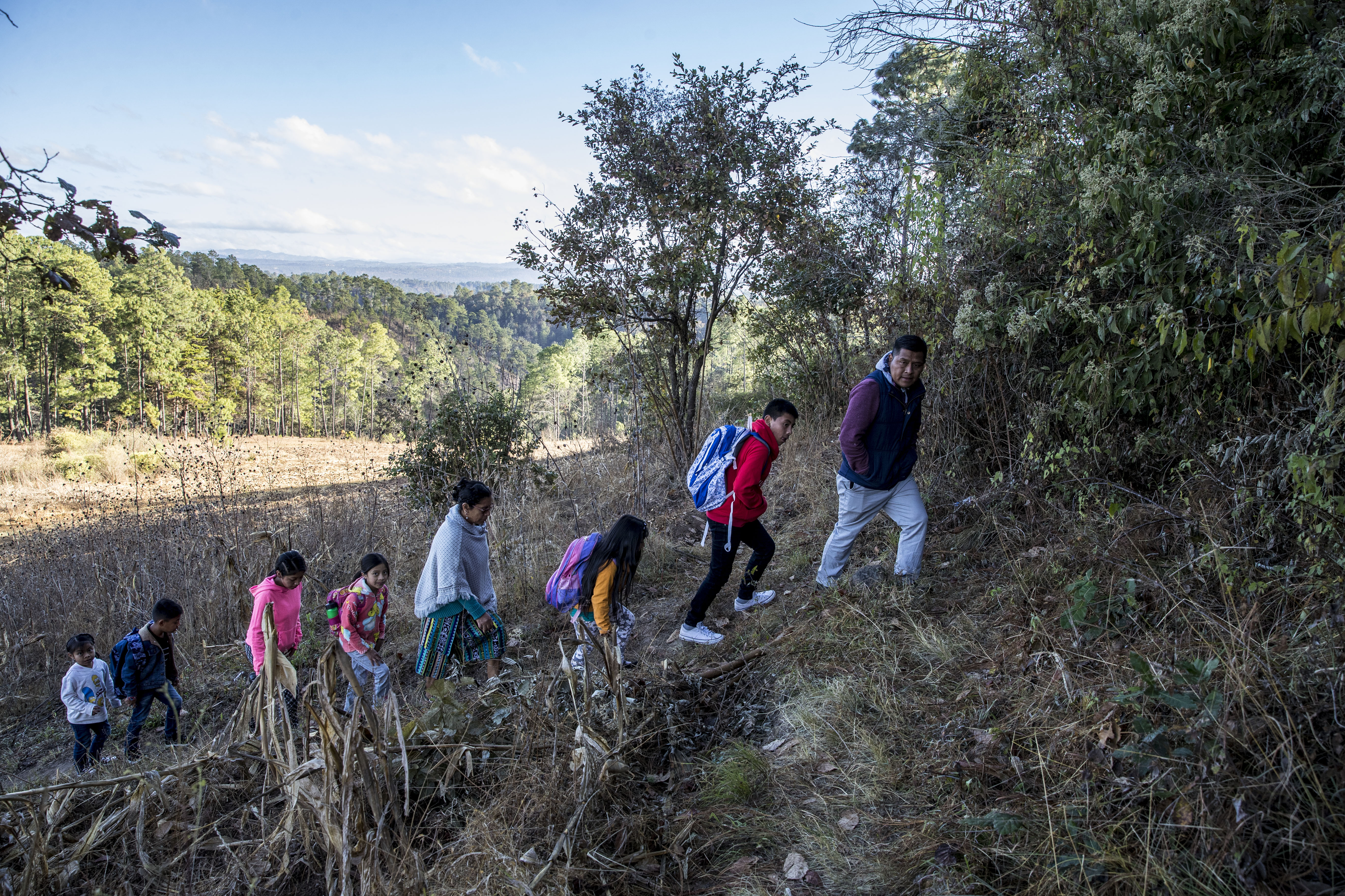 La directora de la escuela primaria rural Xatinap III, Petronila Mendoza (c-i), mientras acompaña a varios niños durante el recorrido para llegar a su primer día de clases presenciales  esa comunidad de Santa Cruz del Quiché Quiché. (Foto Prensa Libre: EFE)