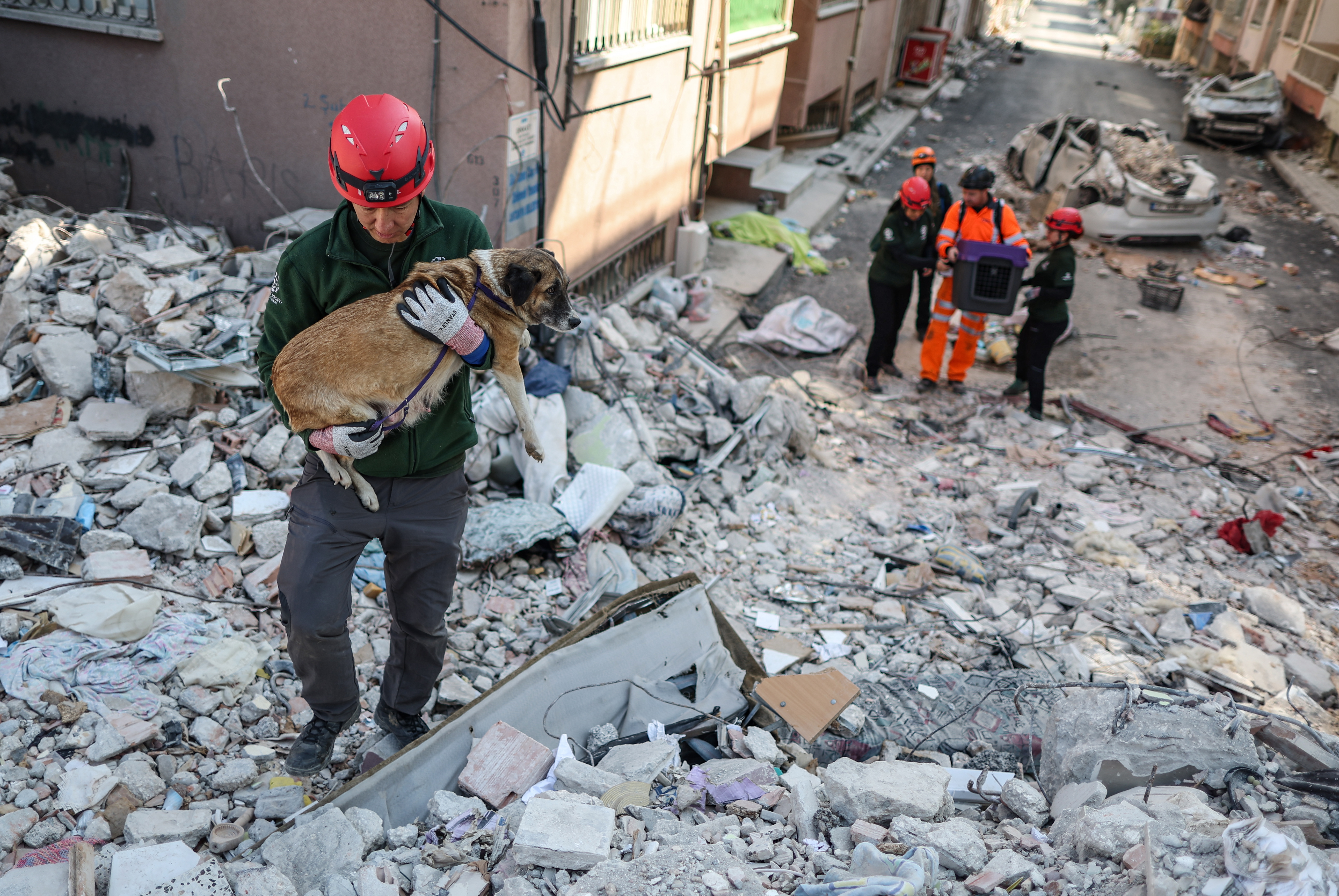 Los terremotos de Turquía y Siria han dejado más de 45 mil muertos. (Foto Prensa Libre: EFE)