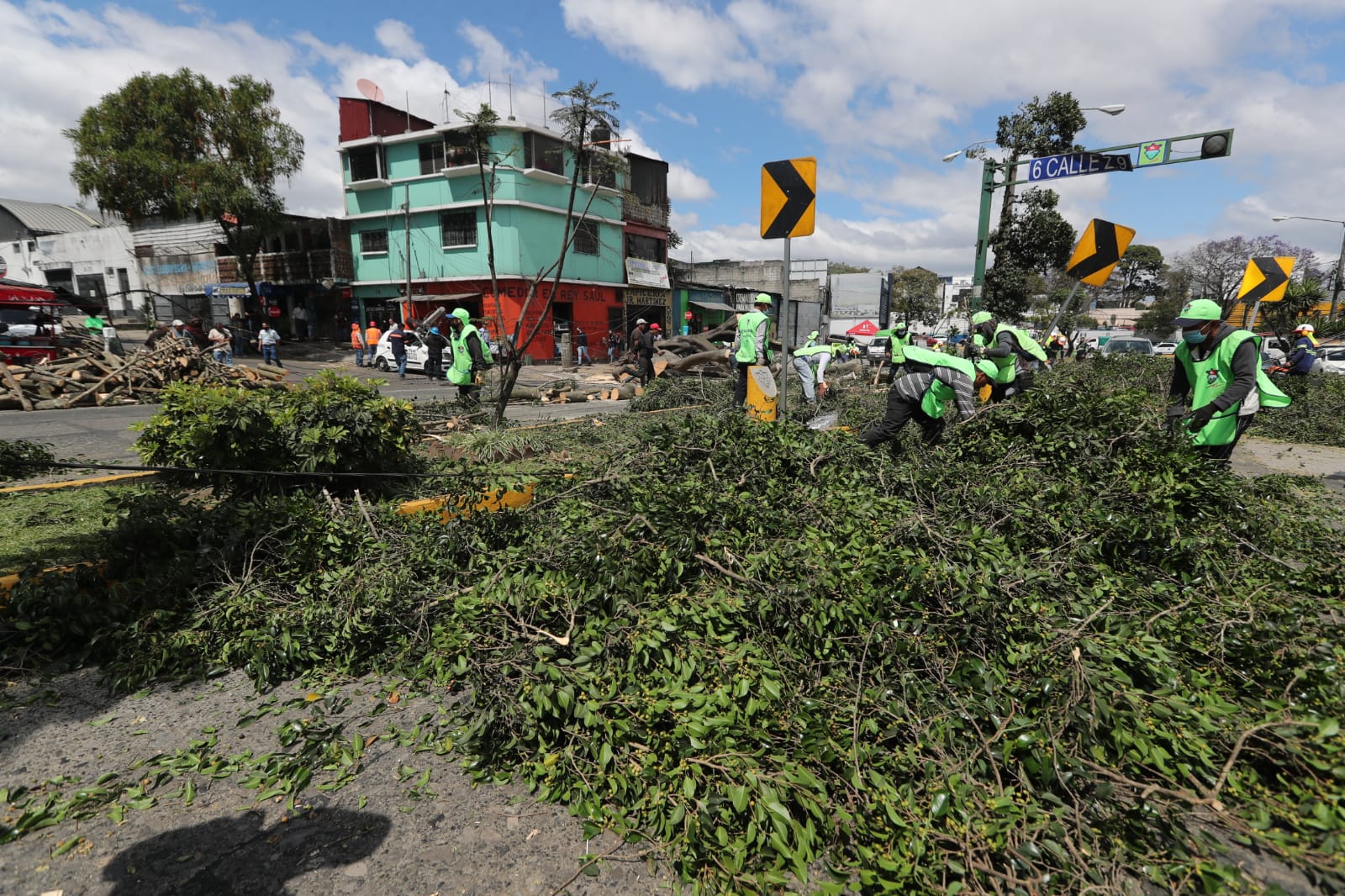 Un árbol causó destrozos en la avenida La Castellana este lunes 20 de febrero. (Foto Prensa Libre: E. Vargas)