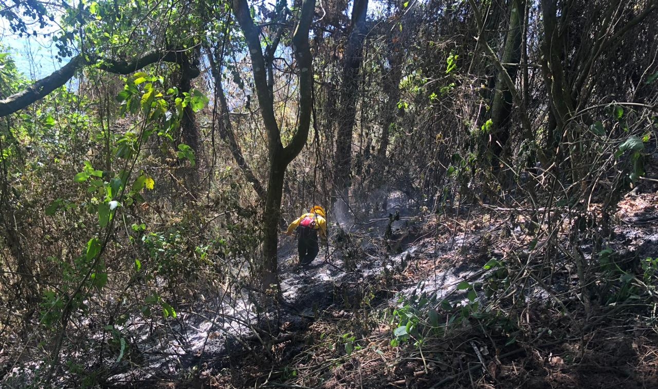 Incendios forestales en volcanes: cuántos se han combatido y cómo avanza el control de estos siniestros