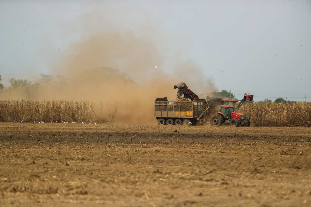 La zafra 2026-2027 está programada para comenzar en los primeros días de noviembre y concluir entre abril y mayo del próximo año, cuando inicia la temporada de lluvias en la Costa Sur.