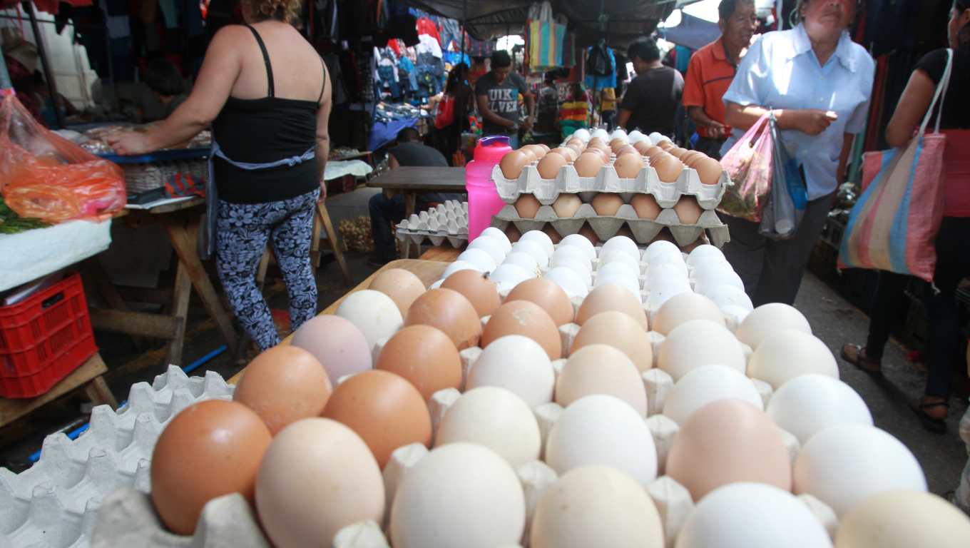 precios huevos avícolas