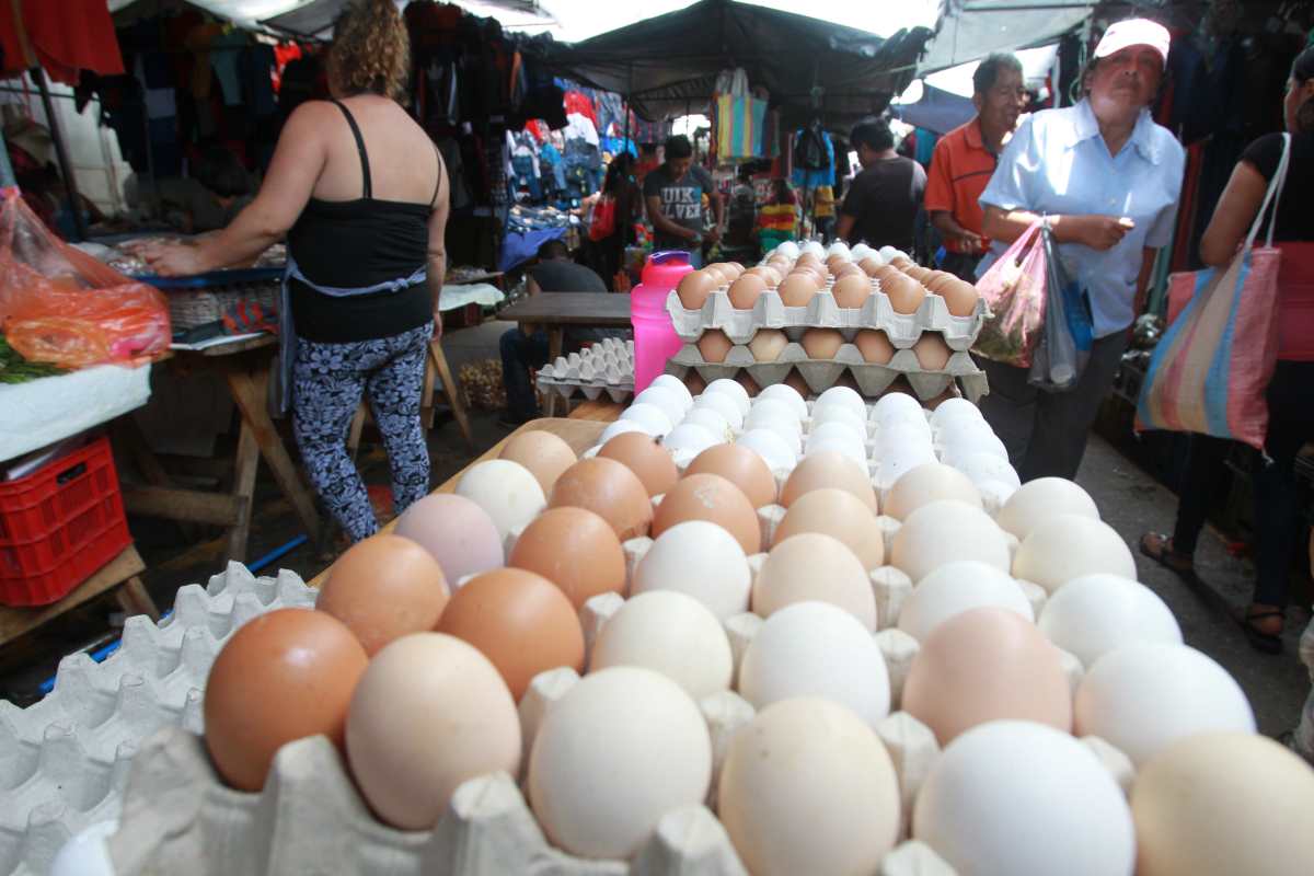 Precios de huevos y pollo aumentan hasta 9.6% de enero a febrero de 2023