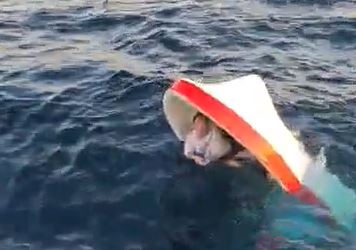 Rescate en alta mar: videos muestran cómo salvaron a cuatro tripulantes que naufragaron por más de cinco horas en las costas de Escuintla
