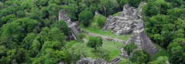 El extenso Parque Nacional Tikal, en Petén. (Foto: Hemeroteca PL)