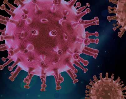 Virus de Marburgo: qué es, sus síntomas, forma de contagio y cómo la OMS trata de contener el brote de esta enfermedad similar al ébola en Guinea Ecuatorial