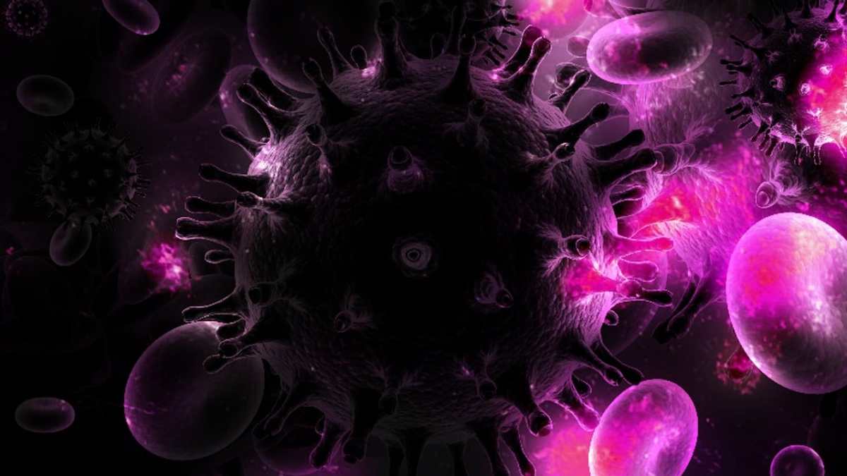 Un tercer enfermo de VIH logra curarse tras un trasplante de células madre (el tratamiento y la renovación del sistema inmunitario)