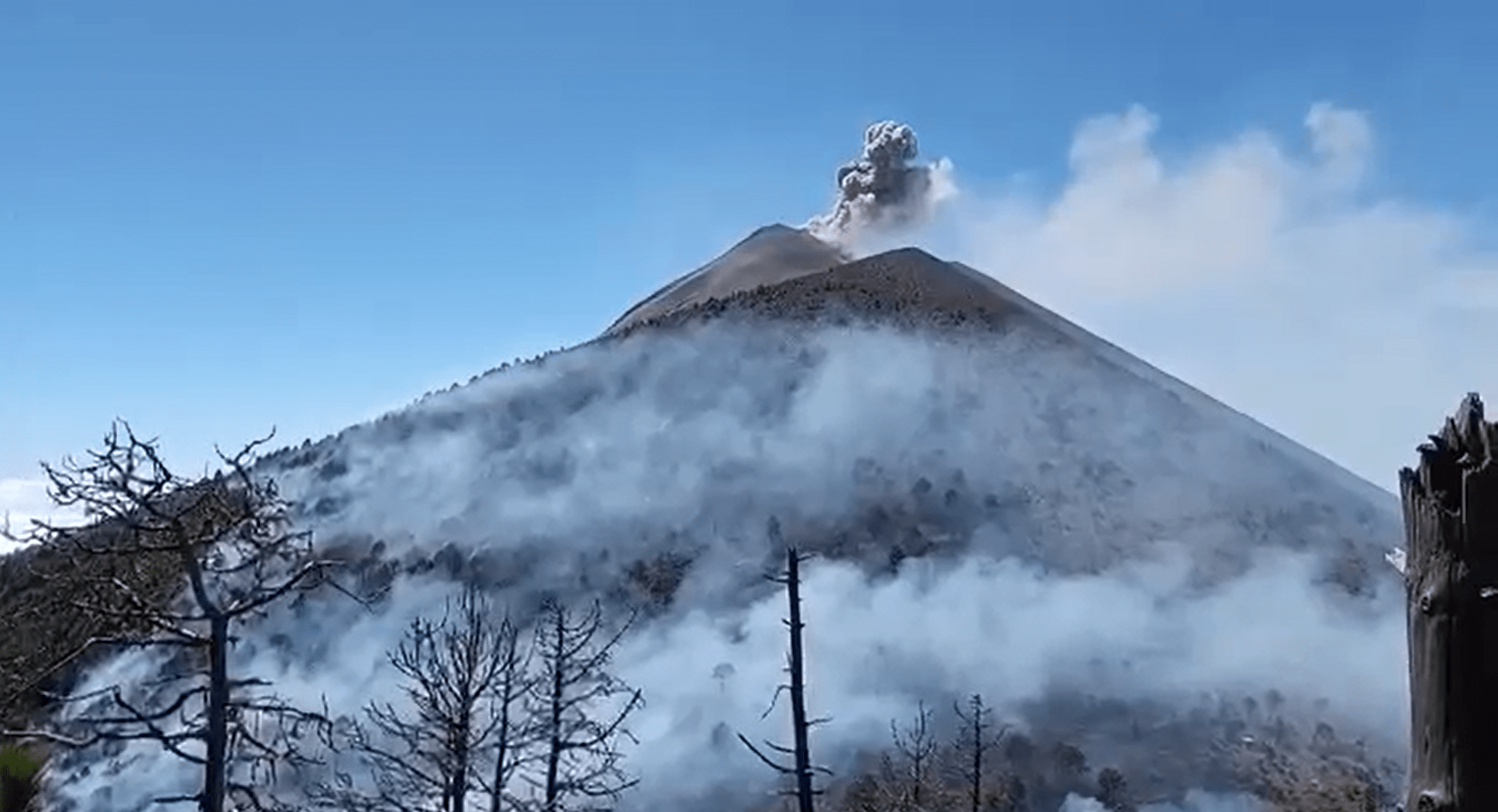 El incendio se extendió tras la erupción del volcán de Fuego. (Foto Guatevisión: Conred)