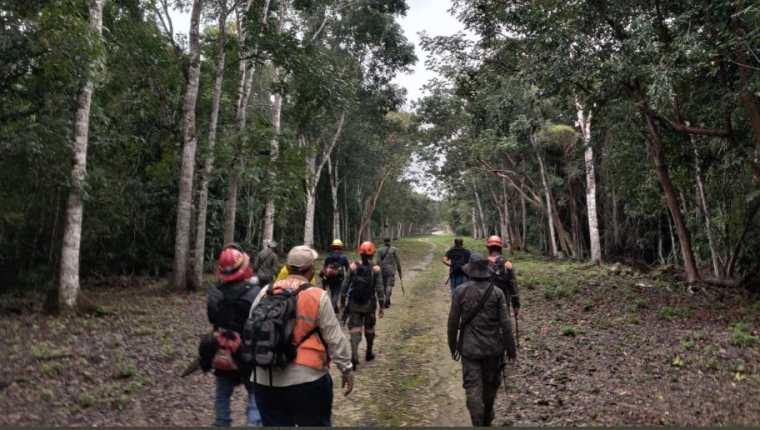 Soldados apoyan en tareas de búsqueda de turista. (Foto: Ejército de Guatemala)