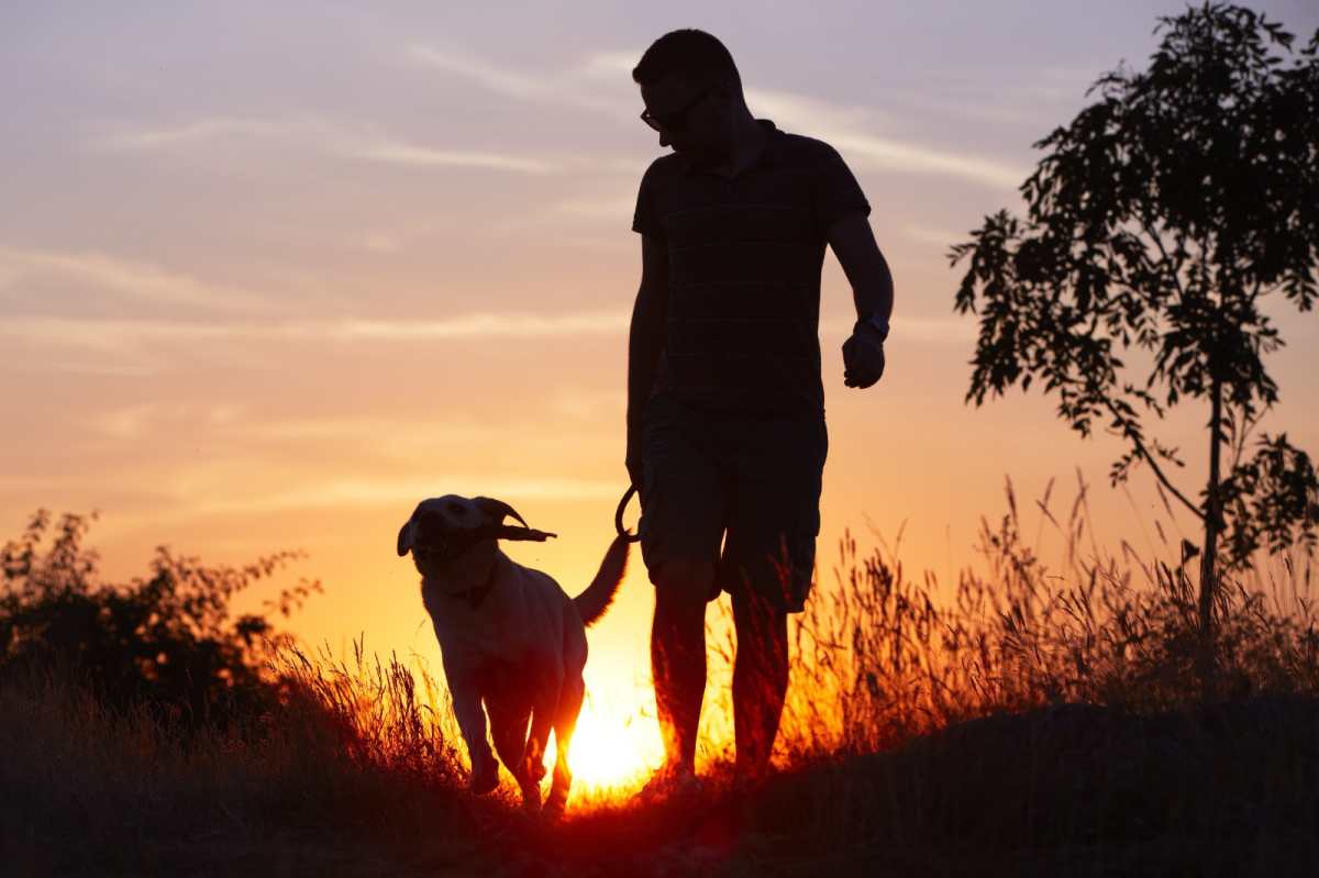 Consejos para pasear con el perro en la naturaleza