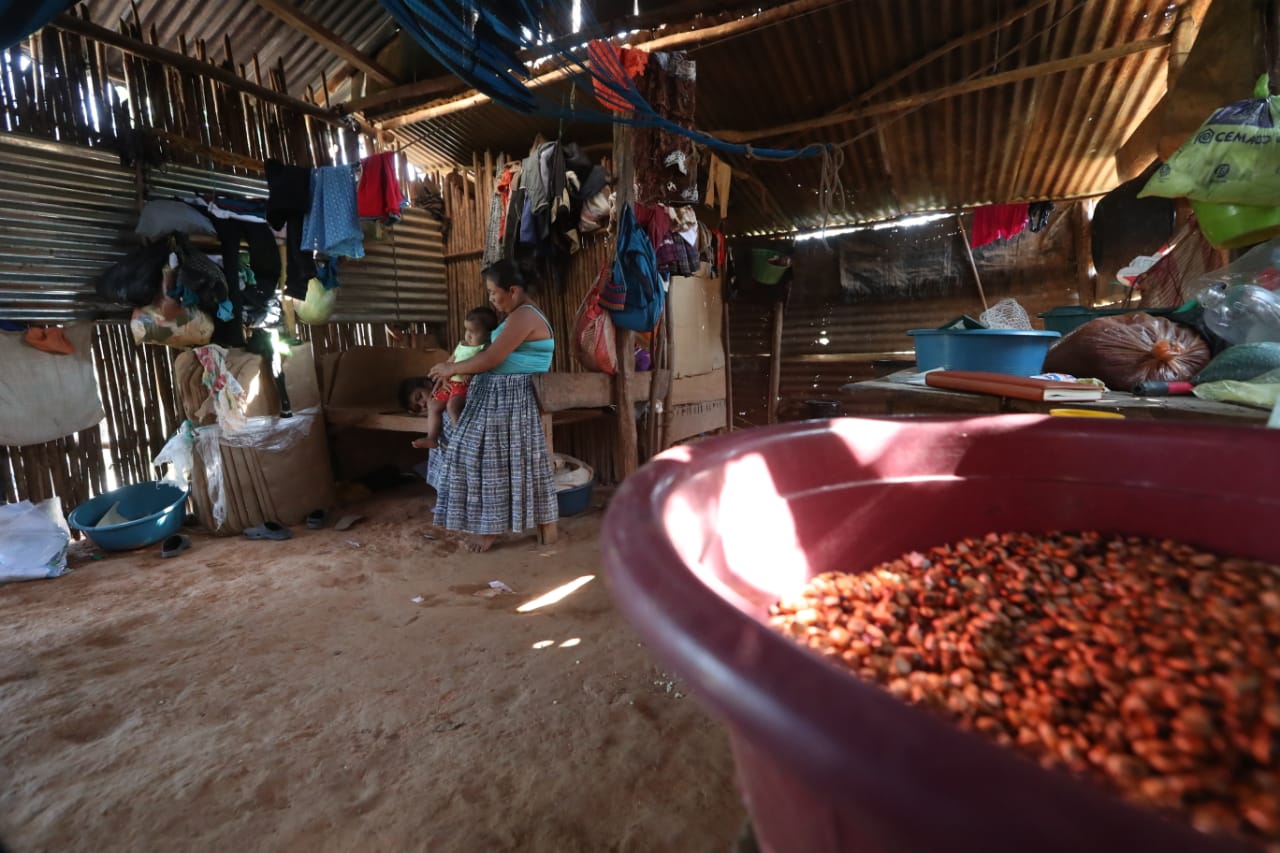 La mayoría de los habitantes de la comunidad Poza Azul, en Panzós, Alta Verapaz, vive en condiciones de pobreza. (Foto Prensa Libre: Roberto López)