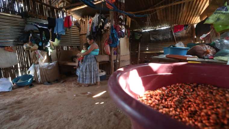 La mayoría de los habitantes de la comunidad Poza Azul, en Panzós, Alta Verapaz, vive en condiciones de pobreza. (Foto Prensa Libre: Roberto López)