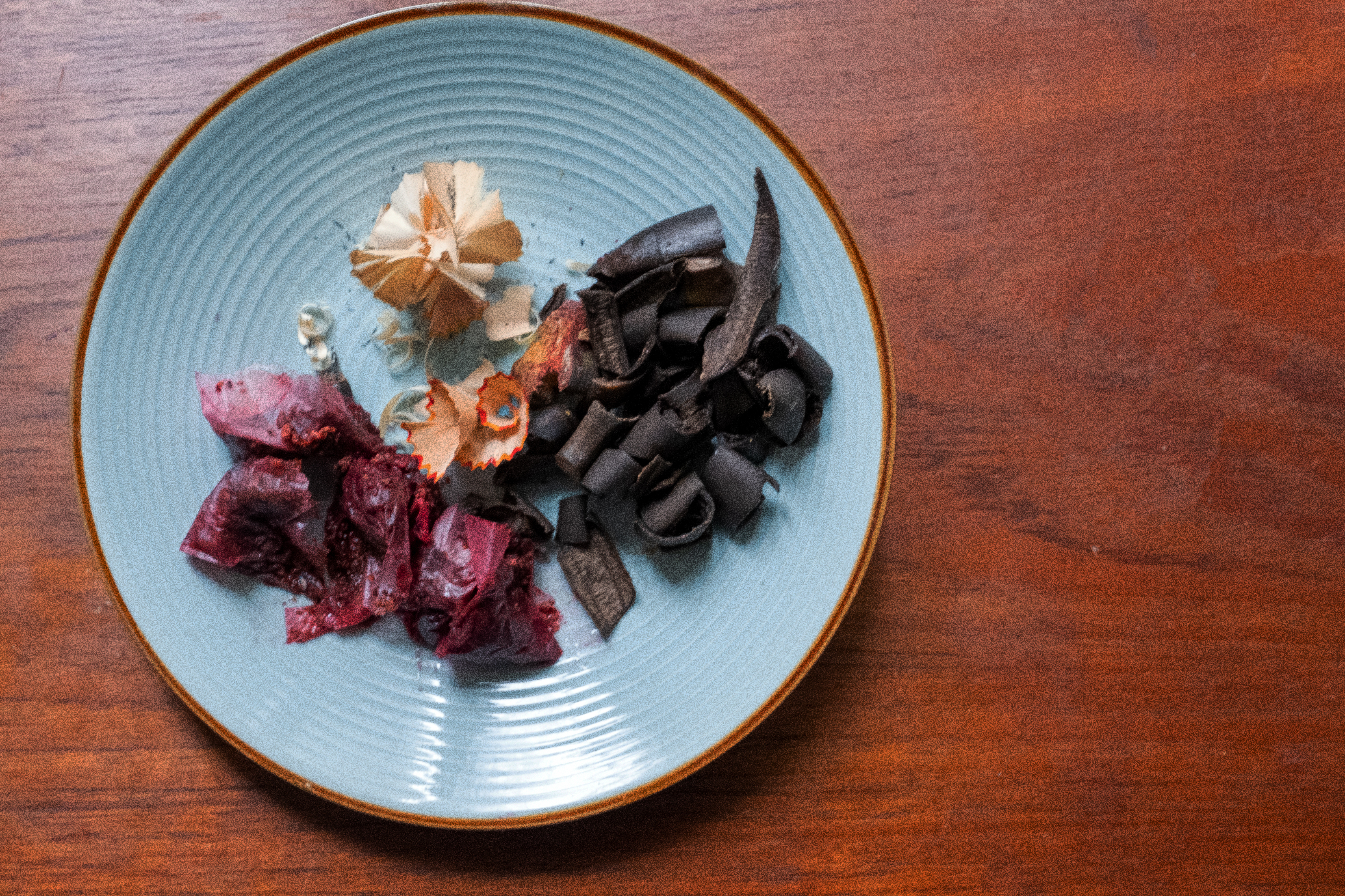 ¿Cómo se hace el abono casero para las plantas? Recomendaciones y guías para cuidar del jardín