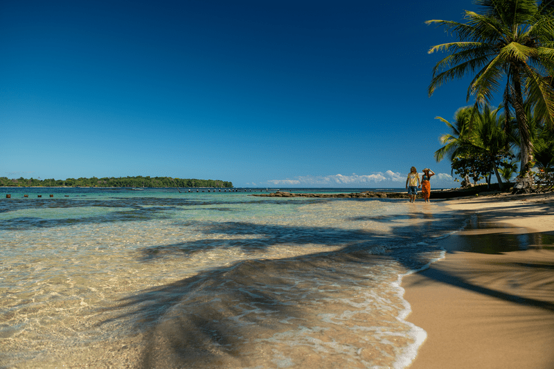 Vacaciones de verano 2023: Una escapada al Caribe
