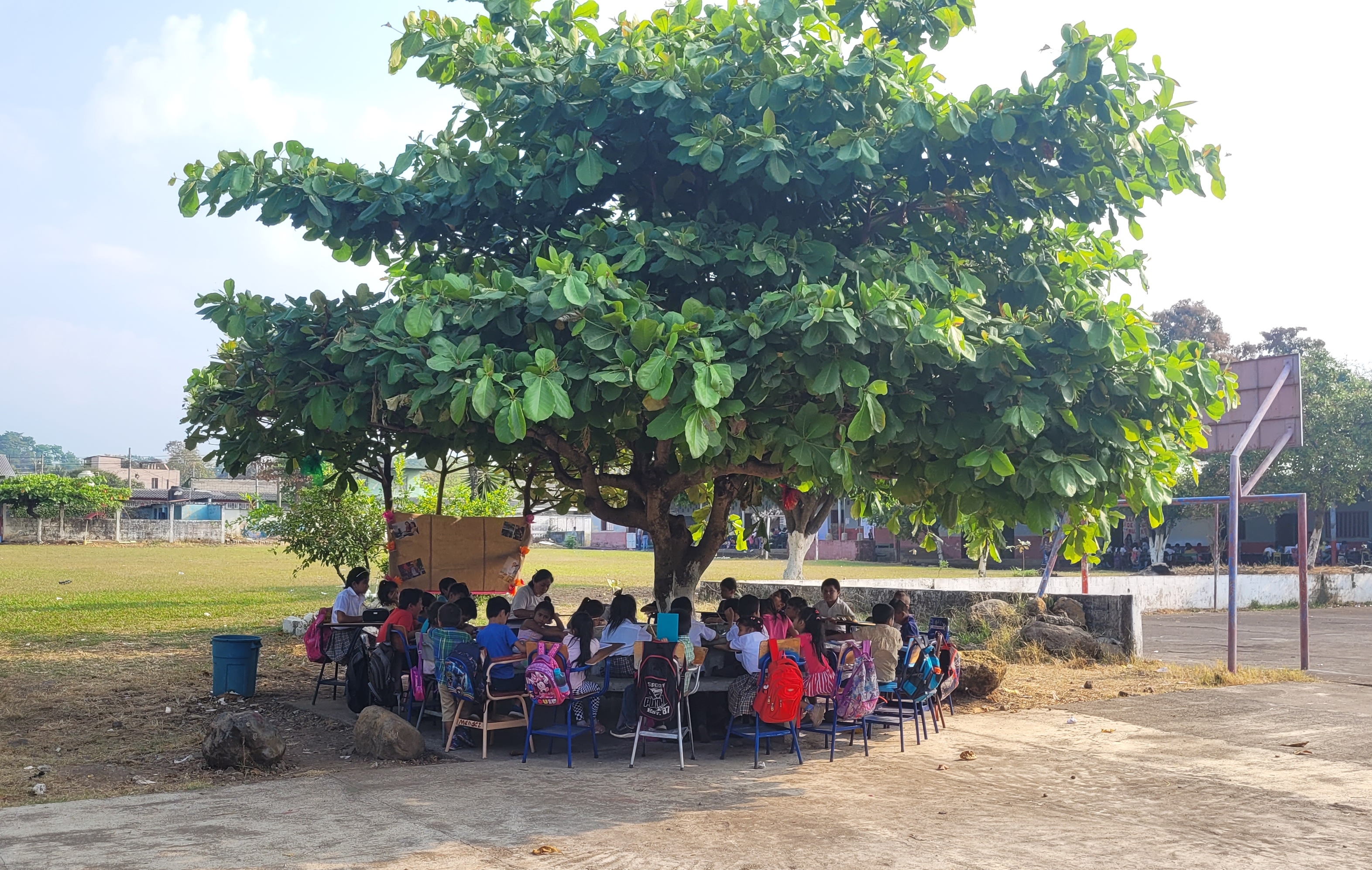 Clases bajo un árbol en Mazatenango
