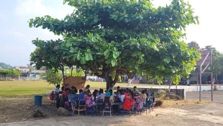 Clases bajo un árbol en Mazatenango