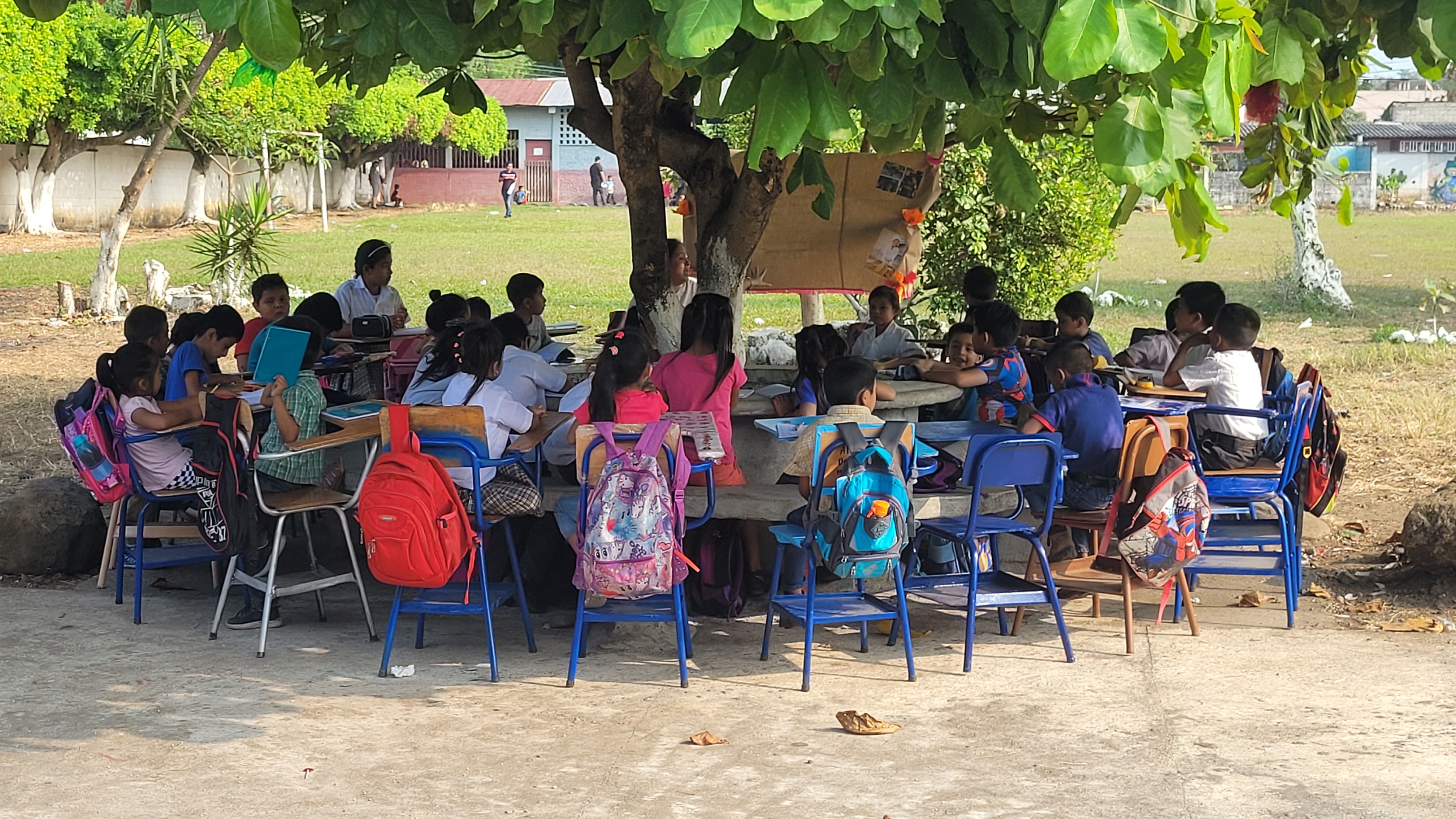 Estudiantes de primaria reciben clases bajo un árbol