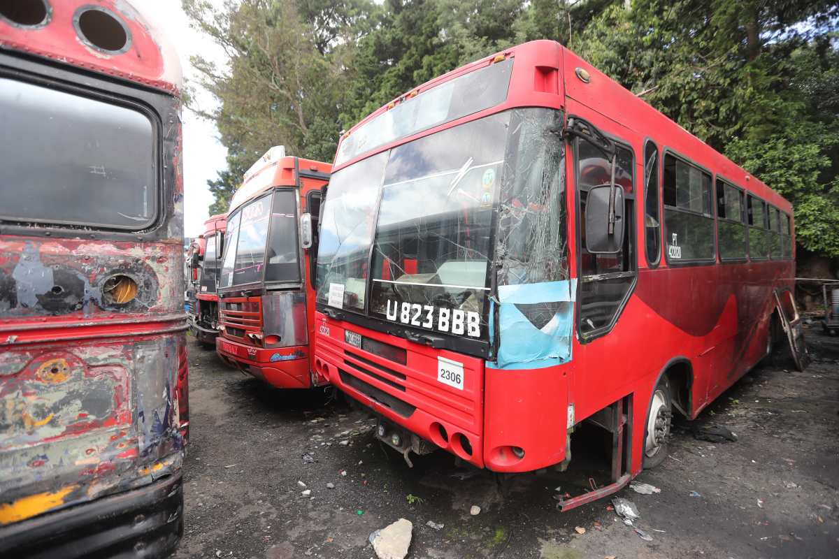 Aviso de subasta:  Muni publica acuerdo que obliga a retirar buses rojos de predios municipales y emite plazos