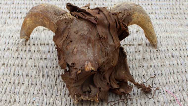 Arqueólogos de la Universidad de Nueva York descubrió más de 2 mil cabezas de carnero momificadas que datan de la era ptolemaica. (Foto Prensa Libre: AFP).