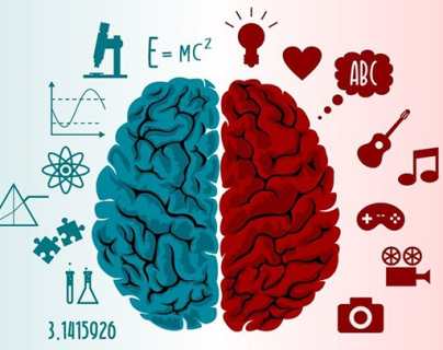 5 ejercicios para mejorar los hemisferios cerebrales