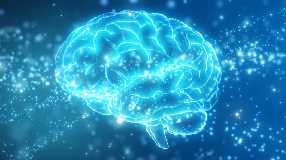 Qué es la misteriosa “zona incierta” del cerebro (y qué pistas ofrece un nueva investigación sobre ella)