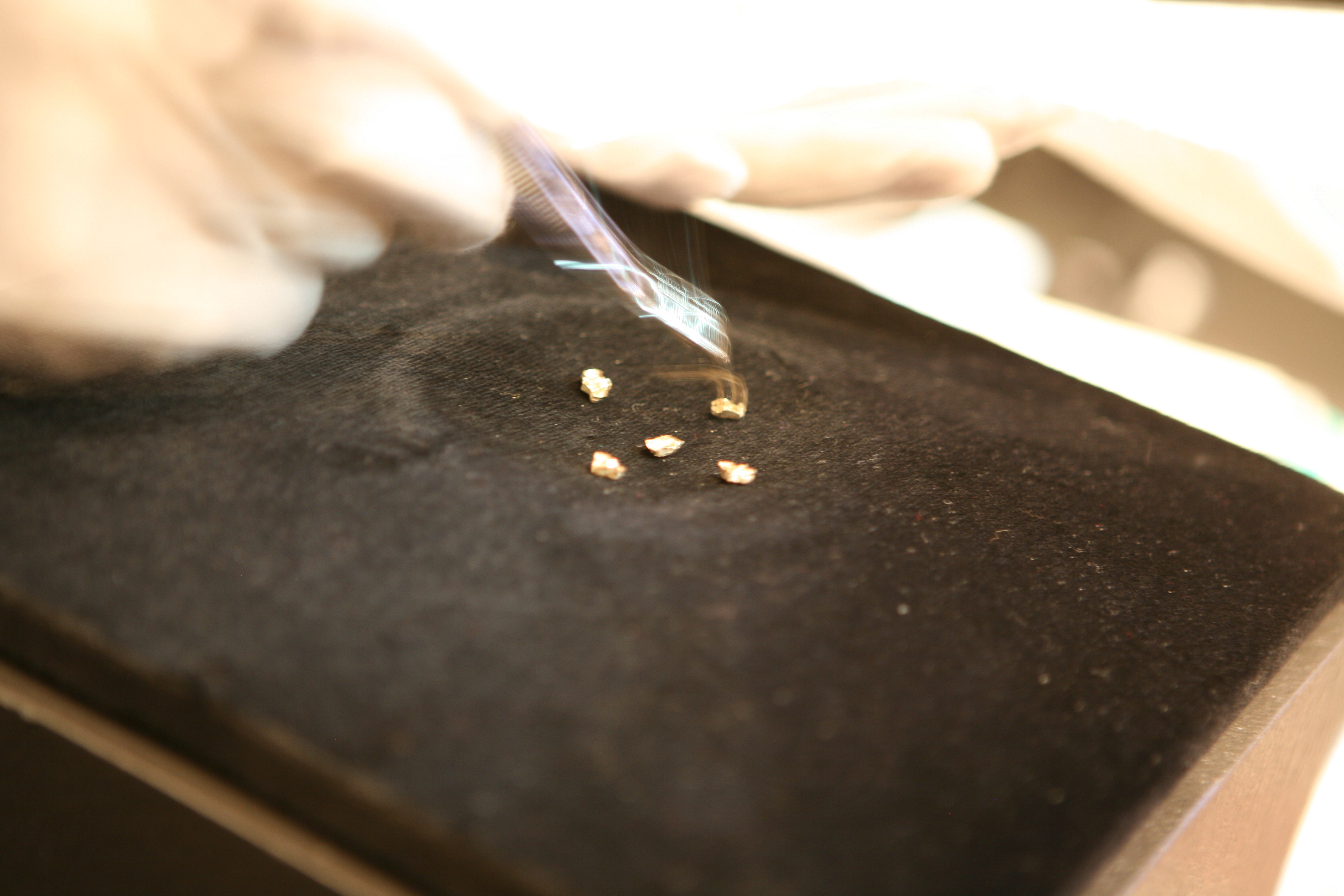 Regina José Galindo la artista guatemalteca qué expondrá sus obras en el MoMA