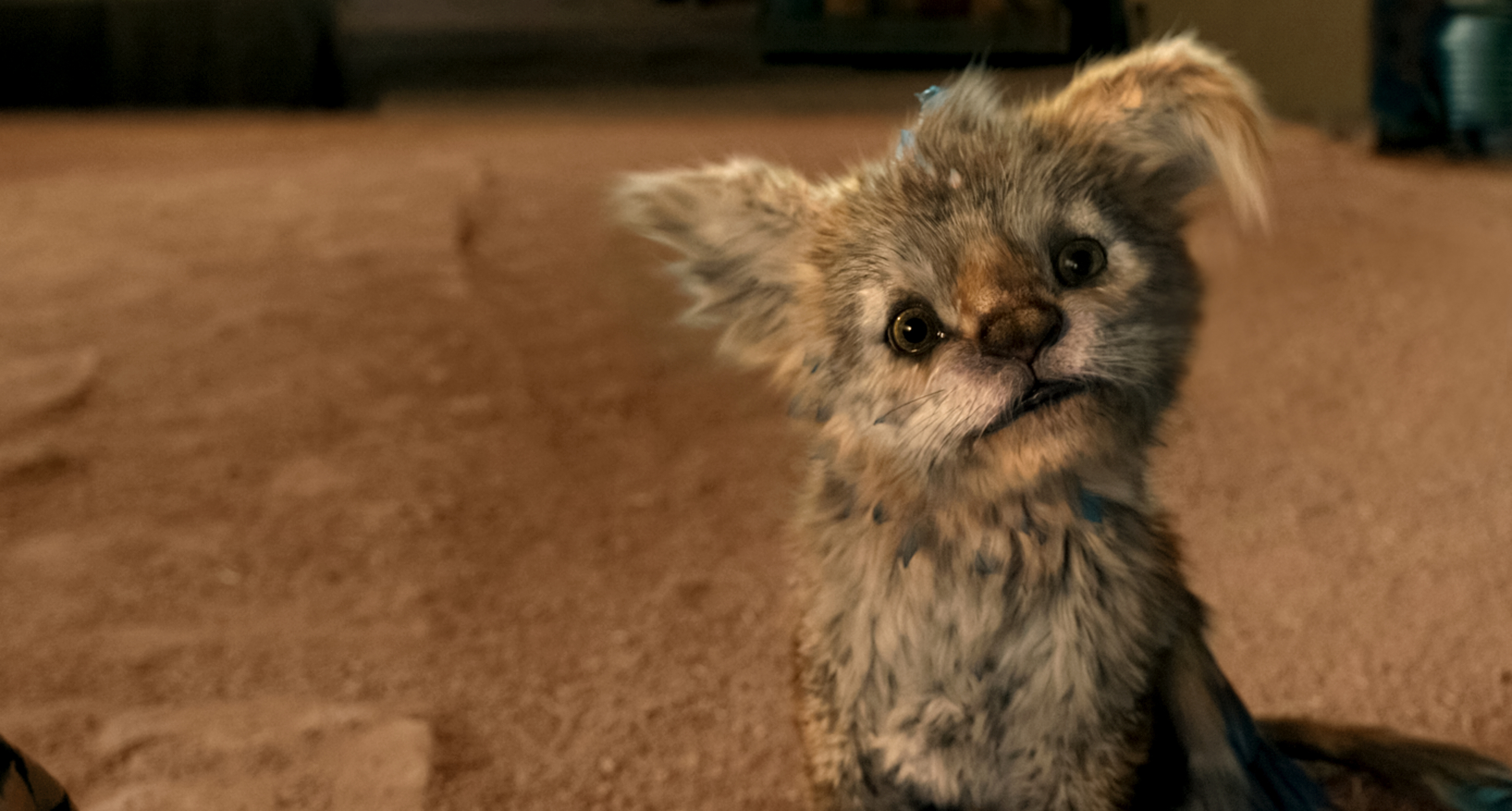 Jonás Cuarón rodea de fantasía el mito del Chupacabras en su último filme