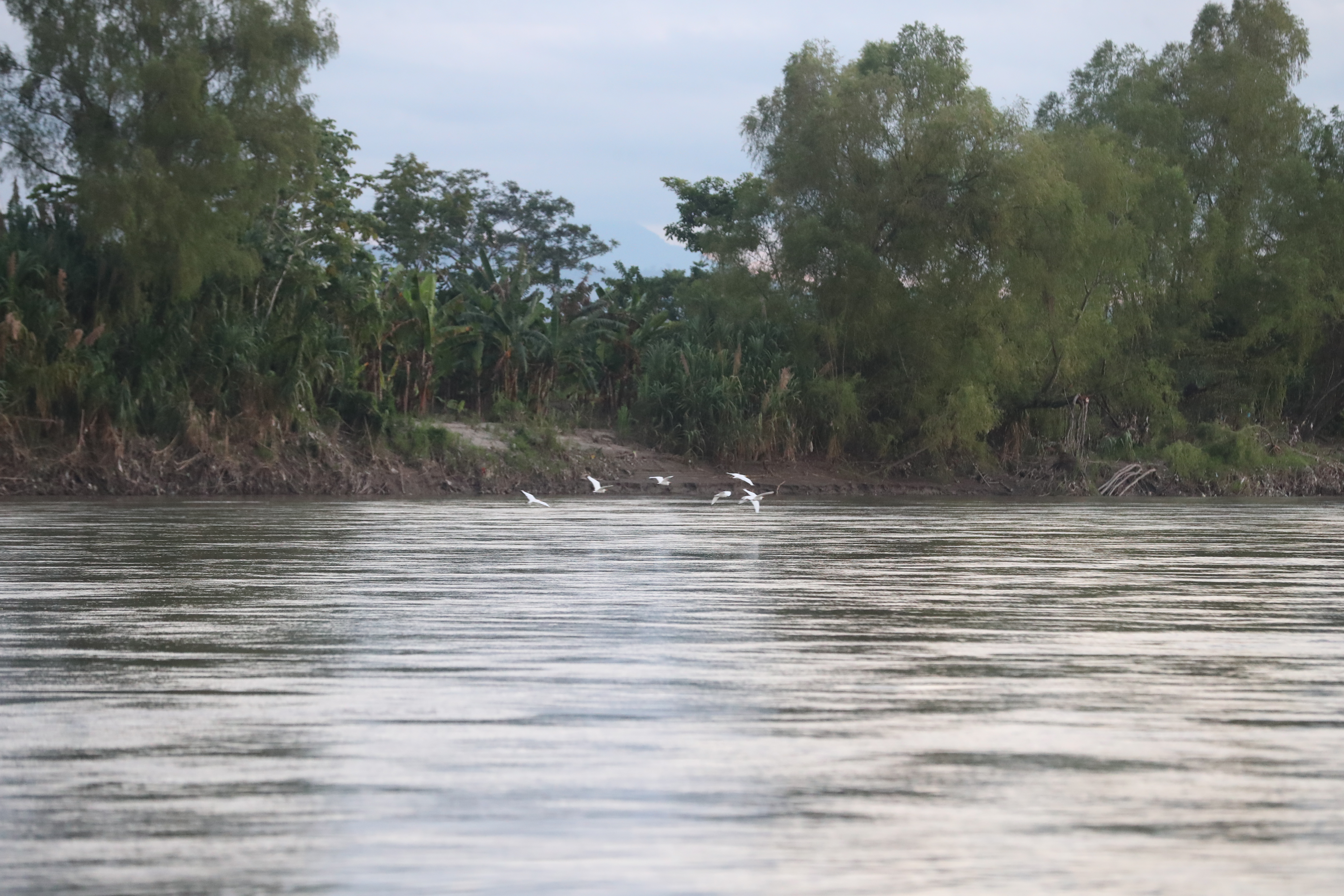 Cuerpo de menor es hallado en Puerto Barrios