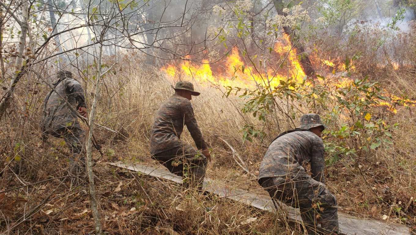 Extensas zonas de bosque son afectadas por incendios forestales en Petén, donde personal de varias instituciones trabajan para apagar las llamas. (Foto Prensa Libre: Cortesía Ejército de Guatemala)