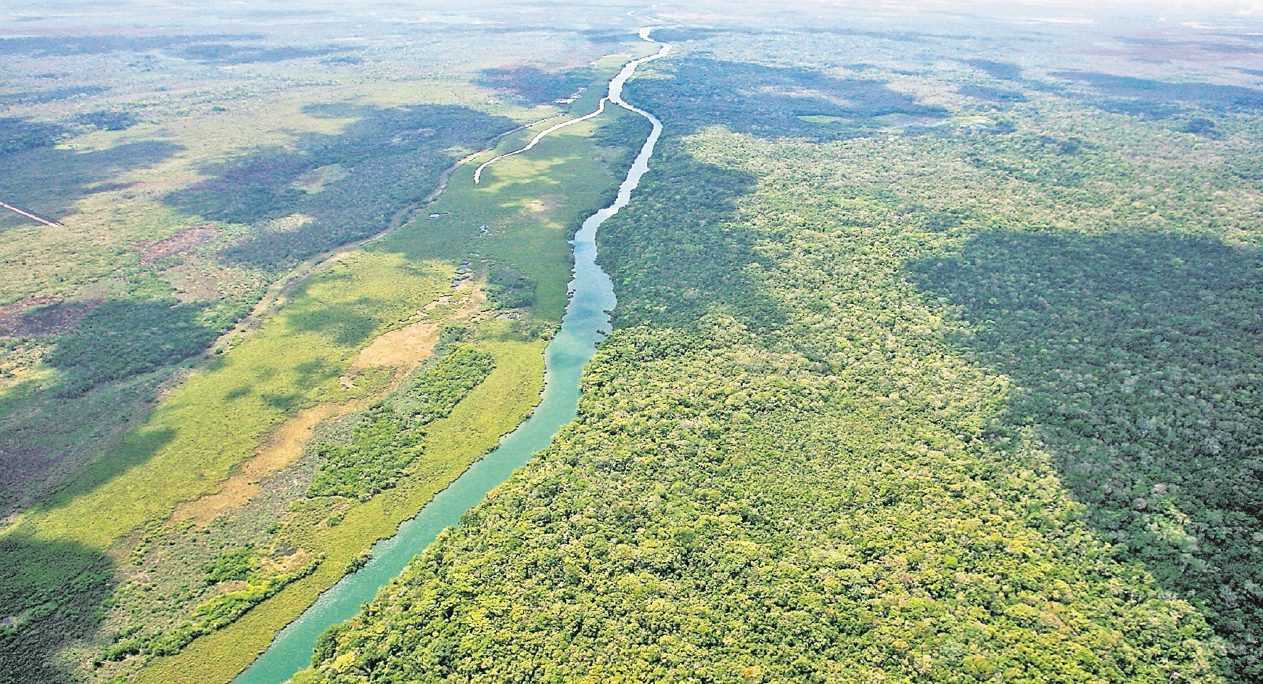 La cooperación británica apoya un proyecto para la conservación de la reserva de la Biósfera Maya. (Foto Prensa Libre: Hemeroteca PL)