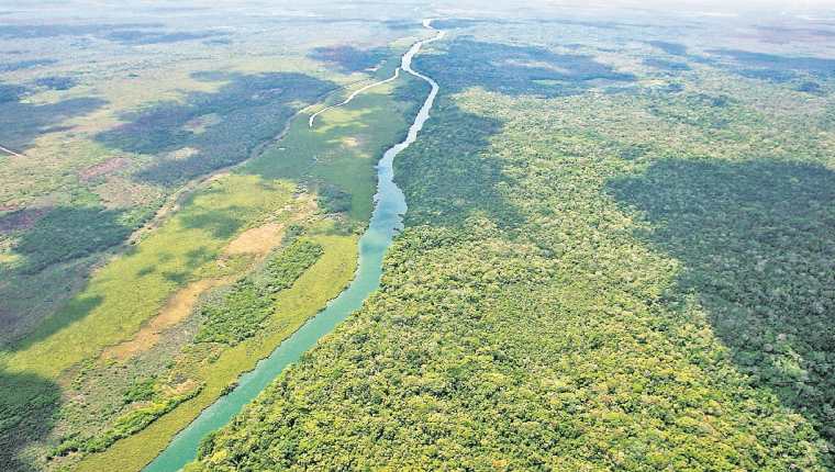 La cooperación británica apoya un proyecto para la conservación de la reserva de la Biósfera Maya. (Foto Prensa Libre: Hemeroteca PL)
