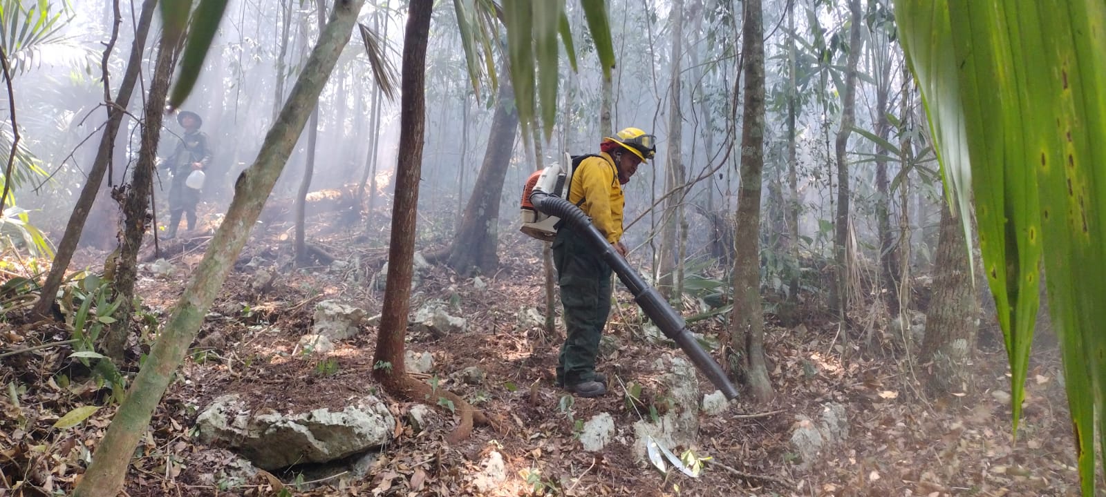 El fuego en ha devastado más de 124 hectáreas en Petén. (Foto Prensa Libre: Conred)
