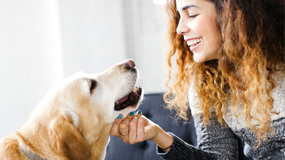 Con algunas medidas básicas, es posible reducir significativamente el riesgo de contraer una enfermedad por el contacto con las mascotas.
GETTY IMAGES
